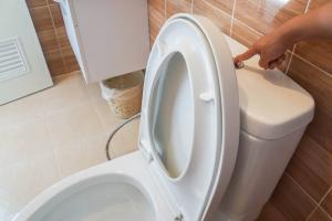 Zašto ulijte sredstvo za pranje suđa u WC?
