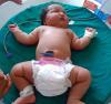 6 do 8 kg: najveća novorođenčad na svijetu