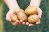 Škrobna dijeta: kako ispravno i brzo smršavjeti na krumpiru