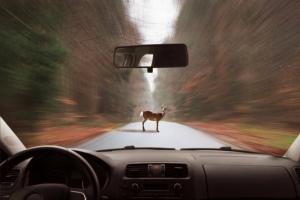 Vozači paziti ceste: 3 glavne faktore rizika