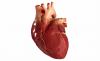 3 glavna faktora koji uzrokuju bolesti srca