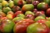 Kako uzgajati mango kod kuće: upute korak po korak