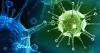 Virusi: kako naše tijelo bori protiv njih?