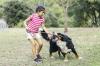 Što učiniti ako pas ugrize dijete: odgovor stručnjaka za zarazne bolesti
