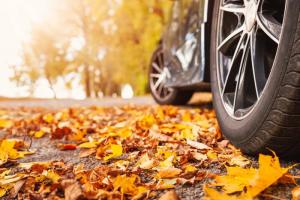 Oprez, jesen: top 9 savjeta za vozače koji mogu spasiti živote
